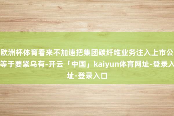 欧洲杯体育看来不加速把集团碳纤维业务注入上市公司等于要紧乌有-开云「中国」kaiyun体育网址-登录入口
