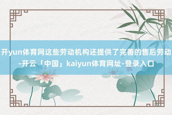 开yun体育网这些劳动机构还提供了完善的售后劳动-开云「中国」kaiyun体育网址-登录入口
