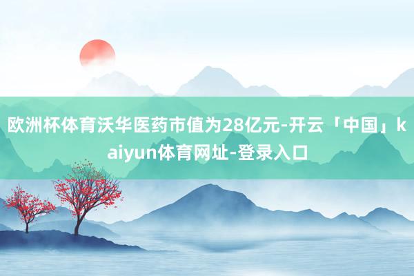 欧洲杯体育沃华医药市值为28亿元-开云「中国」kaiyun体育网址-登录入口
