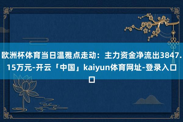 欧洲杯体育当日温雅点走动：主力资金净流出3847.15万元-开云「中国」kaiyun体育网址-登录入口
