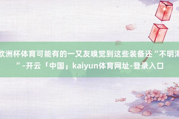 欧洲杯体育可能有的一又友嗅觉到这些装备还“不明渴”-开云「中国」kaiyun体育网址-登录入口