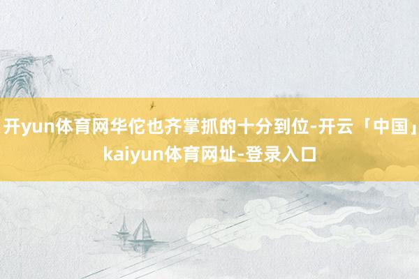 开yun体育网华佗也齐掌抓的十分到位-开云「中国」kaiyun体育网址-登录入口