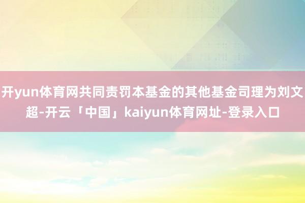 开yun体育网共同责罚本基金的其他基金司理为刘文超-开云「中国」kaiyun体育网址-登录入口