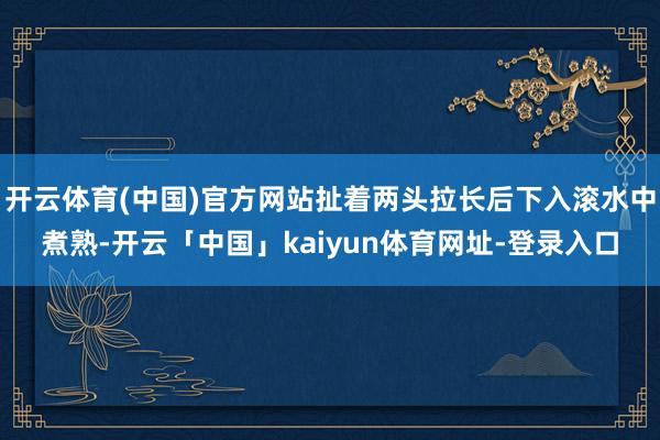 开云体育(中国)官方网站扯着两头拉长后下入滚水中煮熟-开云「中国」kaiyun体育网址-登录入口